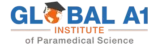 Global A1 Logo